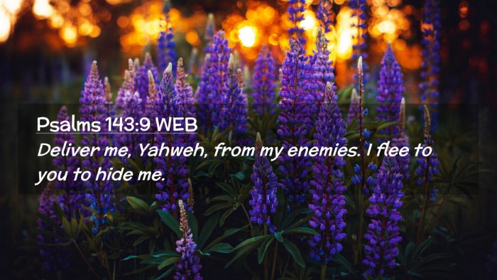 Picture 02 - Psalms 143:9 WEB Desktop Wallpaper - Deliver me, Yahweh, from my enemies. I flee to - Desktop Bible Verse Wallpaper
