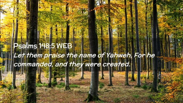 Picture 02 - Psalms 148:5 WEB Desktop Wallpaper - Let them praise the name of Yahweh, For he - Desktop Bible Verse Wallpaper