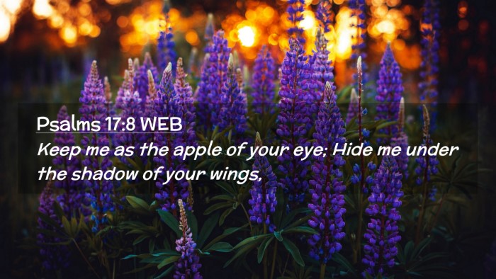 Picture 02 - Psalms 17:8 WEB Desktop Wallpaper - Keep me as the apple of your eye; Hide me under - Desktop Bible Verse Wallpaper