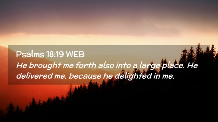 Picture 02 - Psalms 18:19 WEB Desktop Wallpaper - He brought me forth also into a large place. He - Desktop Bible Verse Wallpaper