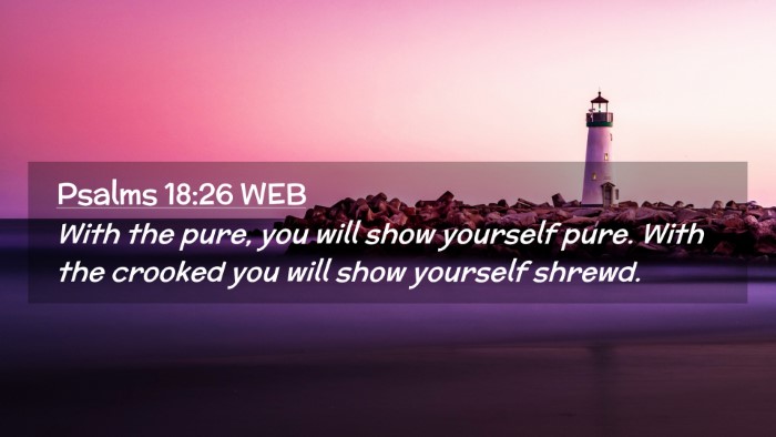 Picture 02 - Psalms 18:26 WEB Desktop Wallpaper - With the pure, you will show yourself pure. With - Desktop Bible Verse Wallpaper