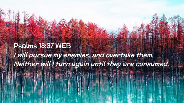 Picture 02 - Psalms 18:37 WEB Desktop Wallpaper - I will pursue my enemies, and overtake them. - Desktop Bible Verse Wallpaper