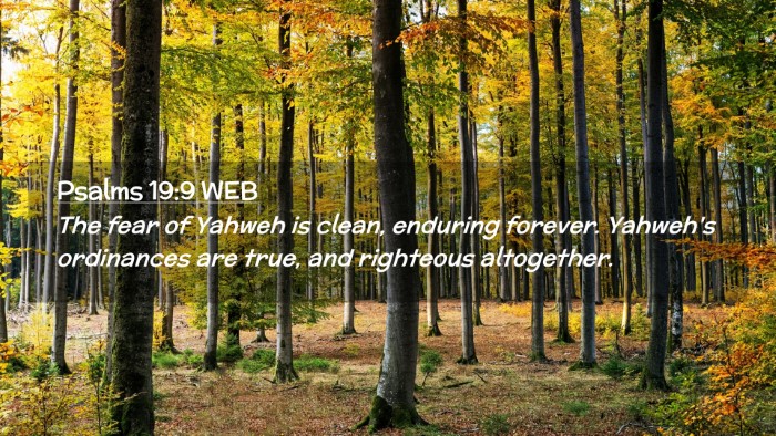 Picture 02 - Psalms 19:9 WEB Desktop Wallpaper - The fear of Yahweh is clean, enduring forever. - Desktop Bible Verse Wallpaper
