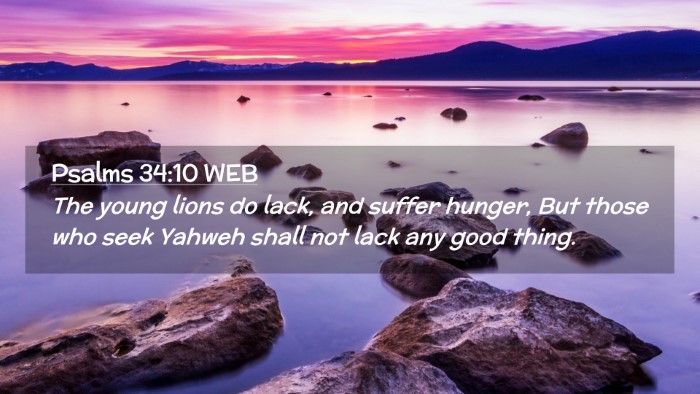 Picture 02 - Psalms 34:10 WEB Desktop Wallpaper - The young lions do lack, and suffer hunger, But - Desktop Bible Verse Wallpaper
