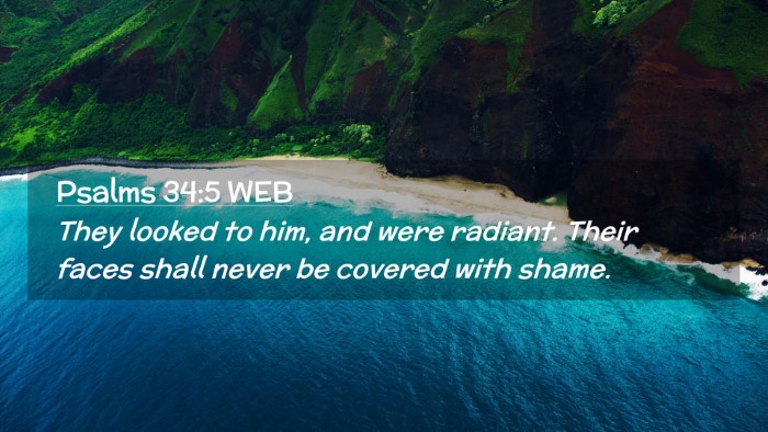 Picture 02 - Psalms 34:5 WEB Desktop Wallpaper - They looked to him, and were radiant. Their faces - Desktop Bible Verse Wallpaper