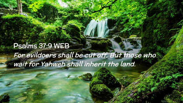 Picture 02 - Psalms 37:9 WEB Desktop Wallpaper - For evildoers shall be cut off, But those who - Desktop Bible Verse Wallpaper