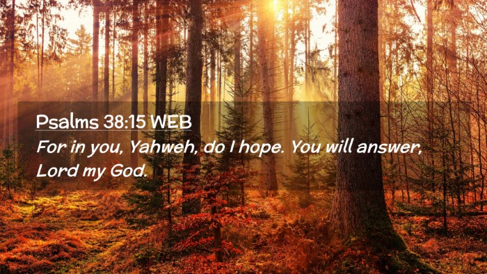 Picture 02 - Psalms 38:15 WEB Desktop Wallpaper - For in you, Yahweh, do I hope. You will answer, - Desktop Bible Verse Wallpaper