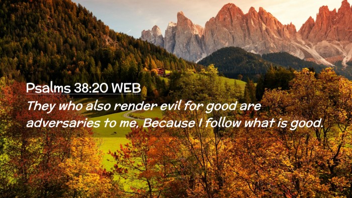 Picture 02 - Psalms 38:20 WEB Desktop Wallpaper - They who also render evil for good are - Desktop Bible Verse Wallpaper