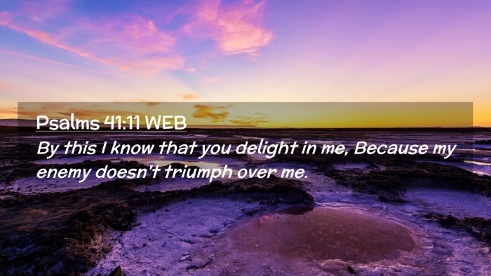 Picture 02 - Psalms 41:11 WEB Desktop Wallpaper - By this I know that you delight in me, Because my - Desktop Bible Verse Wallpaper