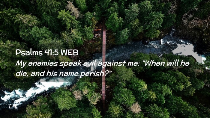 Picture 02 - Psalms 41:5 WEB Desktop Wallpaper - My enemies speak evil against me: 