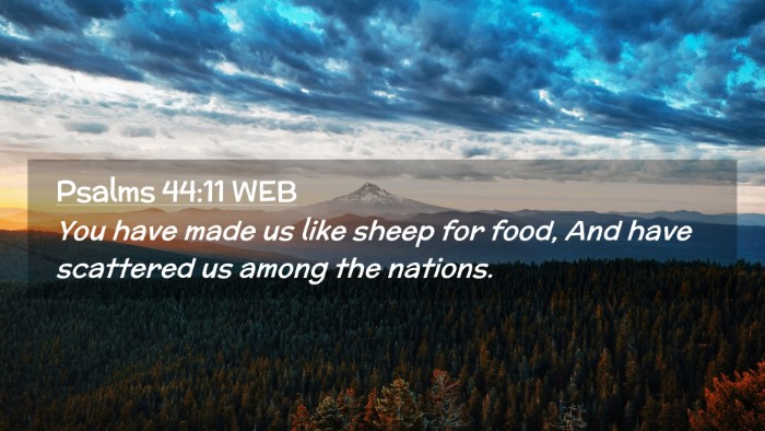 Picture 02 - Psalms 44:11 WEB Desktop Wallpaper - You have made us like sheep for food, And have - Desktop Bible Verse Wallpaper