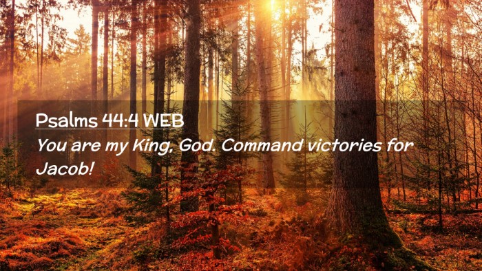 Picture 02 - Psalms 44:4 WEB Desktop Wallpaper - You are my King, God. Command victories for - Desktop Bible Verse Wallpaper