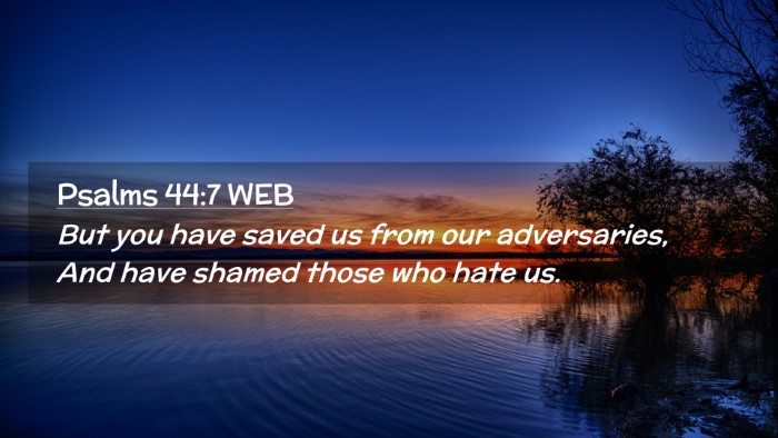 Picture 02 - Psalms 44:7 WEB Desktop Wallpaper - But you have saved us from our adversaries, And - Desktop Bible Verse Wallpaper