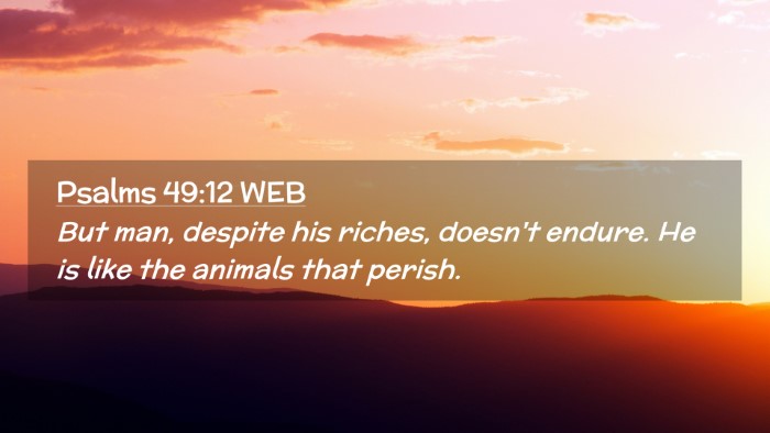 Picture 02 - Psalms 49:12 WEB Desktop Wallpaper - But man, despite his riches, doesn't endure. He - Desktop Bible Verse Wallpaper