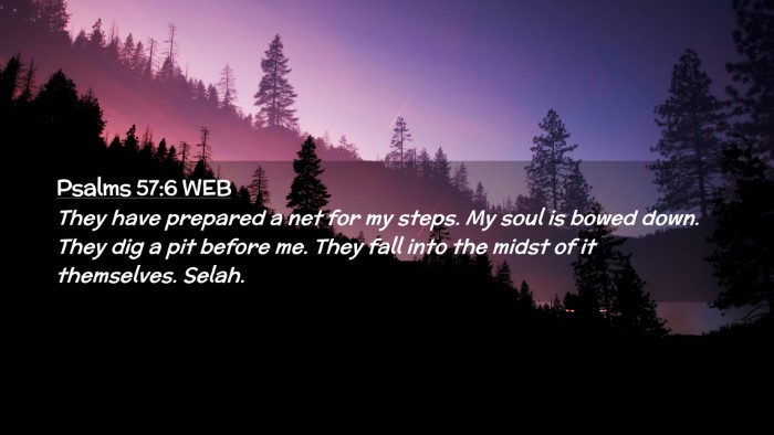 Picture 02 - Psalms 57:6 WEB Desktop Wallpaper - They have prepared a net for my steps. My soul is - Desktop Bible Verse Wallpaper