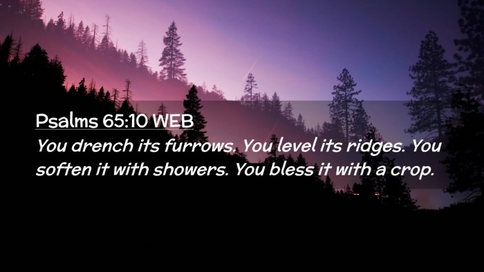 Picture 02 - Psalms 65:10 WEB Desktop Wallpaper - You drench its furrows. You level its ridges. You - Desktop Bible Verse Wallpaper