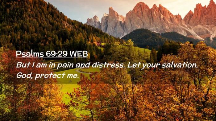 Picture 02 - Psalms 69:29 WEB Desktop Wallpaper - But I am in pain and distress. Let your - Desktop Bible Verse Wallpaper