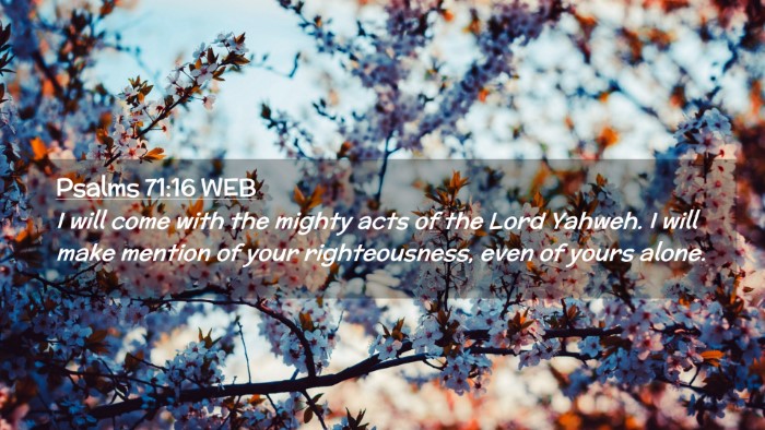 Picture 02 - Psalms 71:16 WEB Desktop Wallpaper - I will come with the mighty acts of the Lord - Desktop Bible Verse Wallpaper