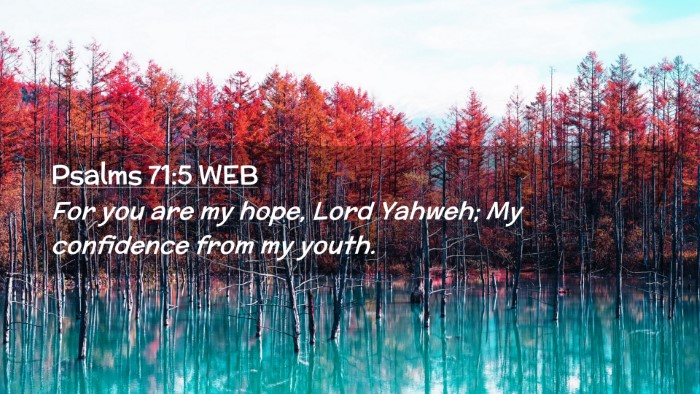 Picture 02 - Psalms 71:5 WEB Desktop Wallpaper - For you are my hope, Lord Yahweh; My confidence - Desktop Bible Verse Wallpaper