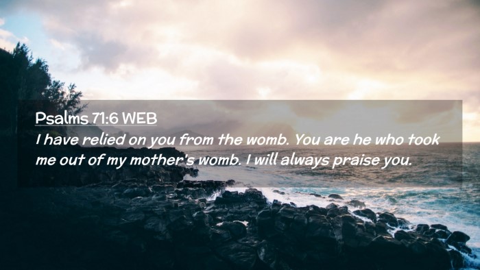 Picture 02 - Psalms 71:6 WEB Desktop Wallpaper - I have relied on you from the womb. You are he - Desktop Bible Verse Wallpaper