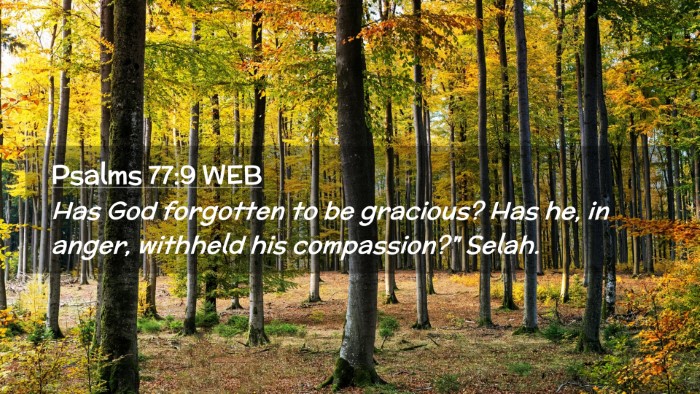 Picture 02 - Psalms 77:9 WEB Desktop Wallpaper - Has God forgotten to be gracious? Has he, in - Desktop Bible Verse Wallpaper