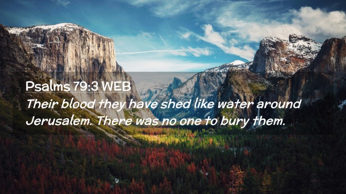 Picture 02 - Psalms 79:3 WEB Desktop Wallpaper - Their blood they have shed like water around - Desktop Bible Verse Wallpaper