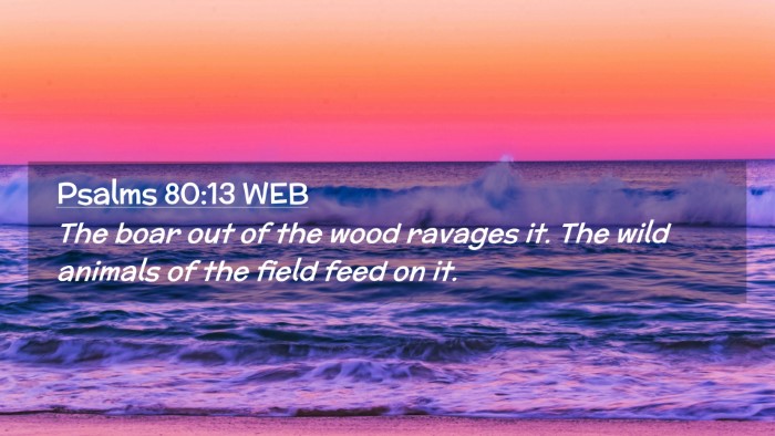 Picture 02 - Psalms 80:13 WEB Desktop Wallpaper - The boar out of the wood ravages it. The wild - Desktop Bible Verse Wallpaper