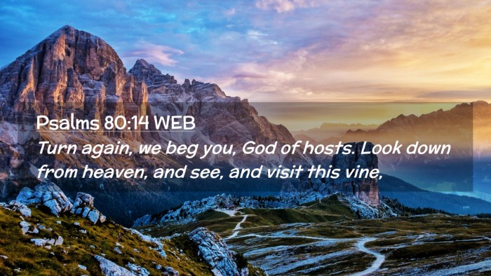 Picture 02 - Psalms 80:14 WEB Desktop Wallpaper - Turn again, we beg you, God of hosts. Look down - Desktop Bible Verse Wallpaper