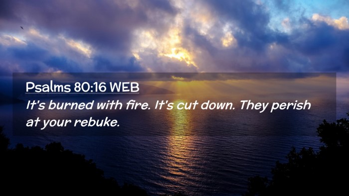Picture 02 - Psalms 80:16 WEB Desktop Wallpaper - It's burned with fire. It's cut down. They perish - Desktop Bible Verse Wallpaper