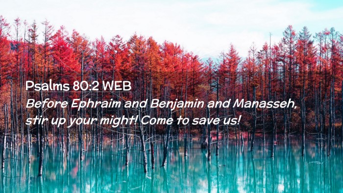 Picture 02 - Psalms 80:2 WEB Desktop Wallpaper - Before Ephraim and Benjamin and Manasseh, stir up - Desktop Bible Verse Wallpaper
