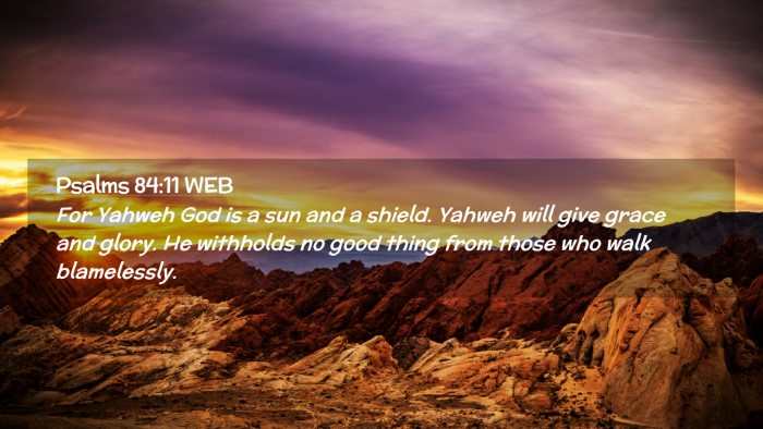 Picture 02 - Psalms 84:11 WEB Desktop Wallpaper - For Yahweh God is a sun and a shield. Yahweh will - Desktop Bible Verse Wallpaper