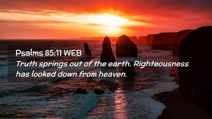 Picture 02 - Psalms 85:11 WEB Desktop Wallpaper - Truth springs out of the earth. Righteousness has - Desktop Bible Verse Wallpaper