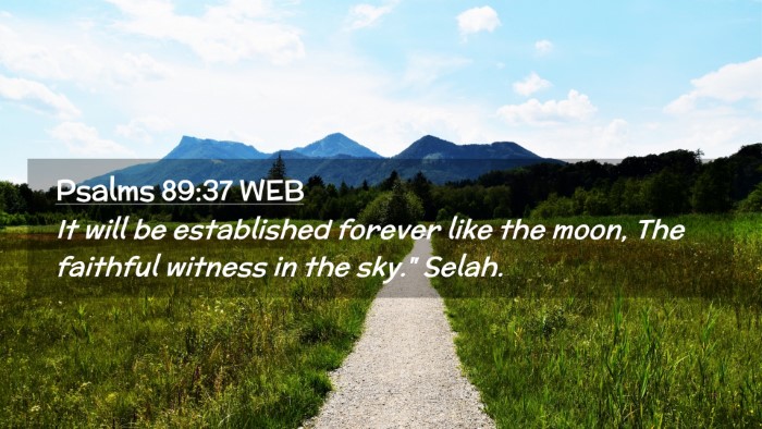 Picture 02 - Psalms 89:37 WEB Desktop Wallpaper - It will be established forever like the moon, The - Desktop Bible Verse Wallpaper