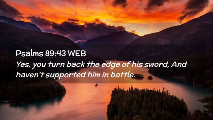 Picture 02 - Psalms 89:43 WEB Desktop Wallpaper - Yes, you turn back the edge of his sword, And - Desktop Bible Verse Wallpaper