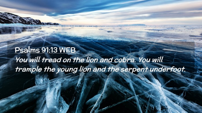 Picture 02 - Psalms 91:13 WEB Desktop Wallpaper - You will tread on the lion and cobra. You will - Desktop Bible Verse Wallpaper