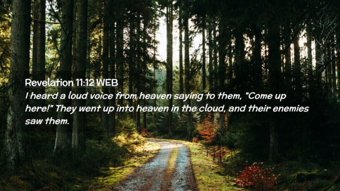 Picture 02 - Revelation 11:12 WEB Desktop Wallpaper - I heard a loud voice from heaven saying to them, - Desktop Bible Verse Wallpaper
