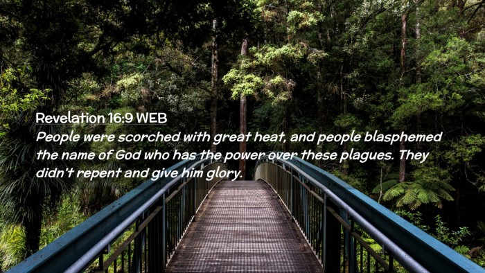 Picture 02 - Revelation 16:9 WEB Desktop Wallpaper - People were scorched with great heat, and people - Desktop Bible Verse Wallpaper