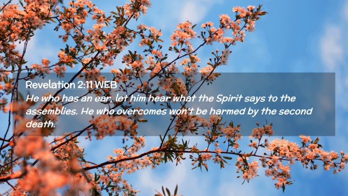 Picture 02 - Revelation 2:11 WEB Desktop Wallpaper - He who has an ear, let him hear what the Spirit - Desktop Bible Verse Wallpaper
