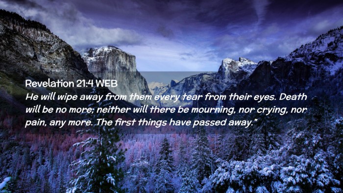 Picture 02 - Revelation 21:4 WEB Desktop Wallpaper - He will wipe away from them every tear from their - Desktop Bible Verse Wallpaper