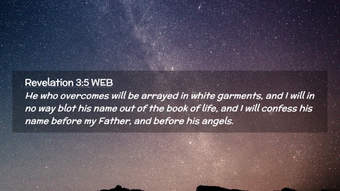 Picture 02 - Revelation 3:5 WEB Desktop Wallpaper - He who overcomes will be arrayed in white - Desktop Bible Verse Wallpaper