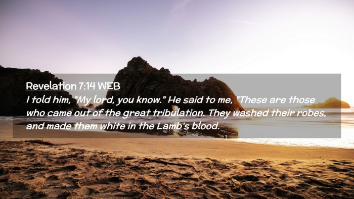 Picture 02 - Revelation 7:14 WEB Desktop Wallpaper - I told him, 