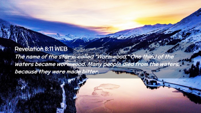 Picture 02 - Revelation 8:11 WEB Desktop Wallpaper - The name of the star is called 