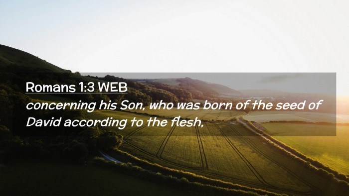 Picture 02 - Romans 1:3 WEB Desktop Wallpaper - concerning his Son, who was born of the seed of - Desktop Bible Verse Wallpaper