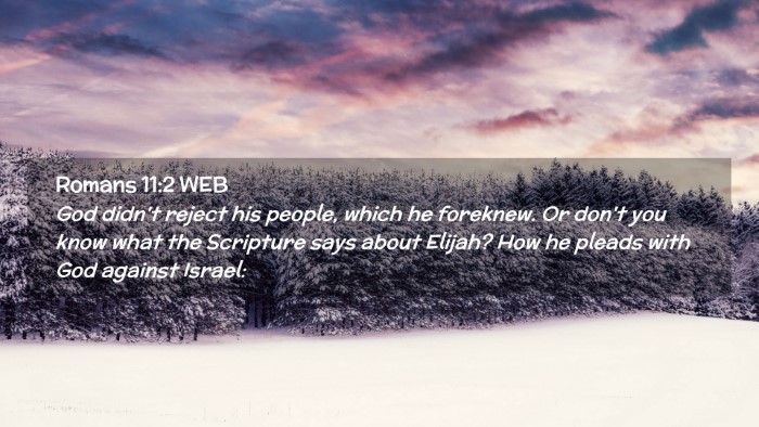 Picture 02 - Romans 11:2 WEB Desktop Wallpaper - God didn't reject his people, which he foreknew. - Desktop Bible Verse Wallpaper