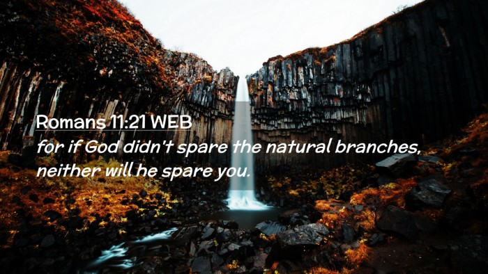 Picture 02 - Romans 11:21 WEB Desktop Wallpaper - for if God didn't spare the natural branches, - Desktop Bible Verse Wallpaper