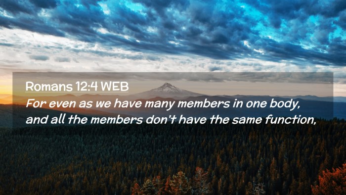 Picture 02 - Romans 12:4 WEB Desktop Wallpaper - For even as we have many members in one body, and - Desktop Bible Verse Wallpaper
