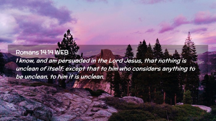 Picture 02 - Romans 14:14 WEB Desktop Wallpaper - I know, and am persuaded in the Lord Jesus, that - Desktop Bible Verse Wallpaper