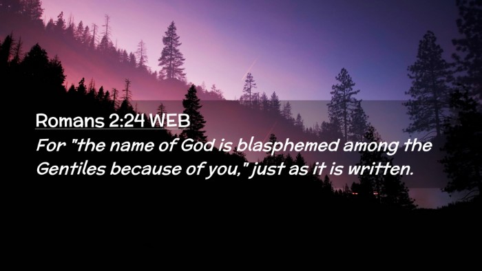 Picture 02 - Romans 2:24 WEB Desktop Wallpaper - For 