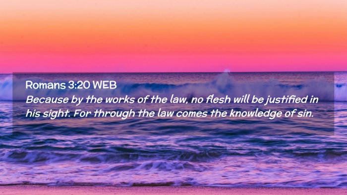 Picture 02 - Romans 3:20 WEB Desktop Wallpaper - Because by the works of the law, no flesh will be - Desktop Bible Verse Wallpaper