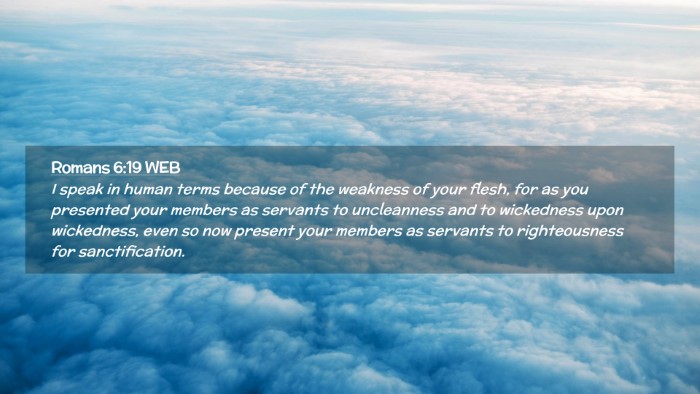 Picture 02 - Romans 6:19 WEB Desktop Wallpaper - I speak in human terms because of the weakness of - Desktop Bible Verse Wallpaper